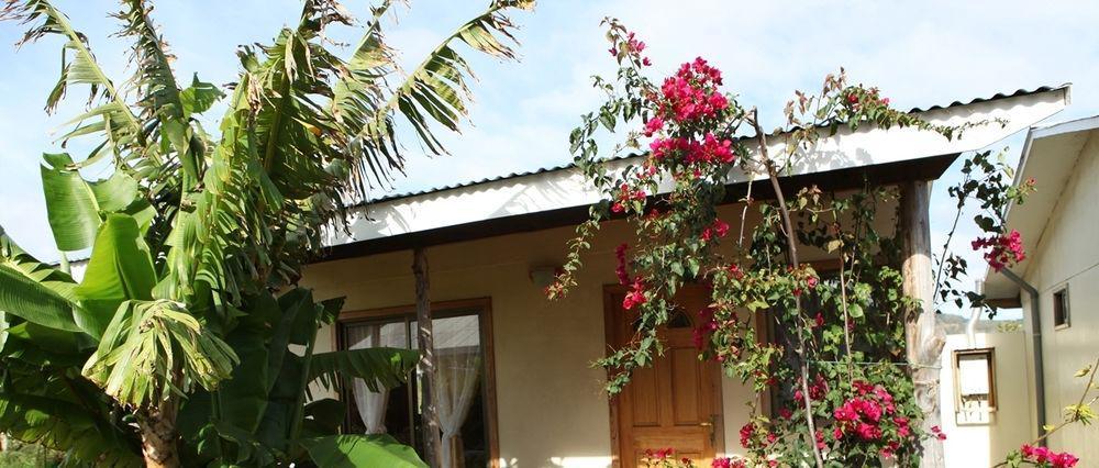 Cabanas Vaiora Hanga Roa Esterno foto